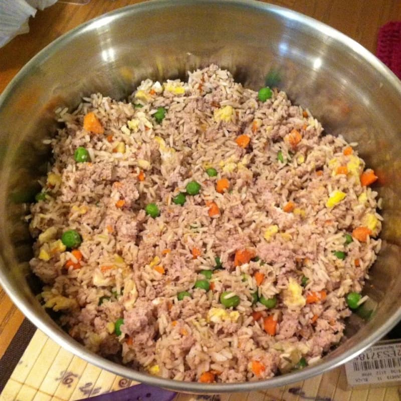 Zec's Dinner (For PETS) recipe